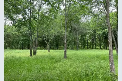 7375 Open Water Point, Quinlan, TX 75474 - Photo 3