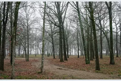 7375 Open Water Point, Quinlan, TX 75474 - Photo 13