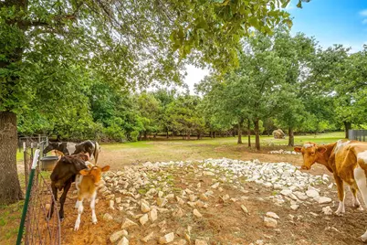 2716 E Fm 4, Cleburne, TX 76031 - Photo 17