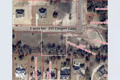 252 Cooper Lane, Van Alstyne, TX 75495 - Photo 5