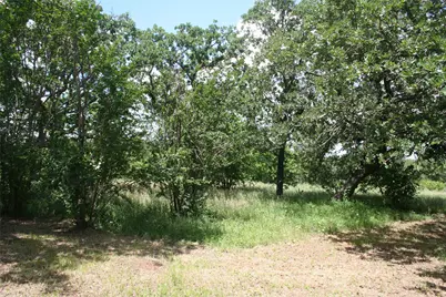215 Buzbee Road, Palo Pinto, TX 76484 - Photo 1