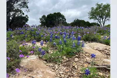 1081 Creek Crossing Road, Nemo, TX 76070 - Photo 3