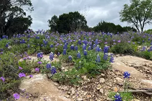 1081 Creek Crossing Rd, Nemo, TX 76070 - Photo 3