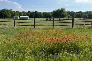 255 Chaparrals Run, Azle, TX 76020 - Photo 1