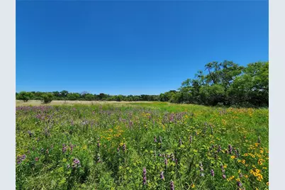 Tbd County Road 127, Rising Star, TX 76471 - Photo 17