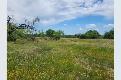 Tbd County Road 127, Rising Star, TX 76471 - Photo 5
