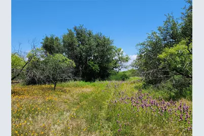 Tbd County Road 127, Rising Star, TX 76471 - Photo 35