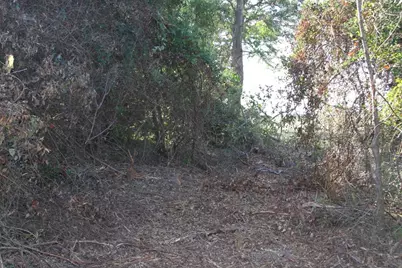 19963 State Highway 31 E, Tyler, TX 75705 - Photo 7