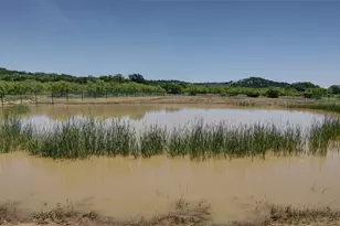 1222 Canyon Wren Loop, Possum Kingdom Lake, TX 76449 - Photo 29