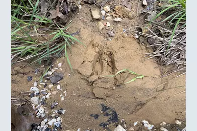 106 Hondo Drive, Nocona, TX 76255 - Photo 7