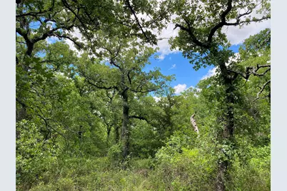 106 Hondo Drive, Nocona, TX 76255 - Photo 3