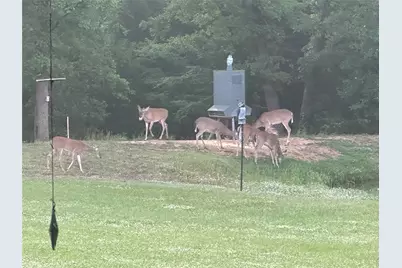 20741 State Highway 155 S, Flint, TX 75762 - Photo 39