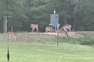 20741 State Hwy 155 S, Flint, TX 75762 - Photo 39