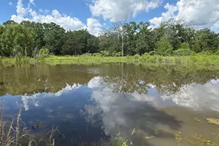 405 Co Rd 1126, Cumby, TX 75433 - Photo 1