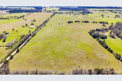 Tract 3 SW Cr 2040, Purdon, TX 76679 - Photo 5