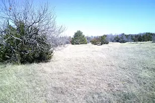 Tr 7 Cr 1750, Chico, TX 76431 - Photo 1