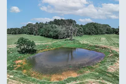 1273 County Road 1236, Quitman, TX 75783 - Photo 11