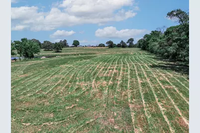 1273 County Road 1236, Quitman, TX 75783 - Photo 31