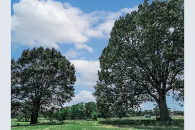 1273 County Road 1236, Quitman, TX 75783 - Photo 27