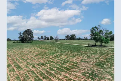 1273 County Road 1236, Quitman, TX 75783 - Photo 33