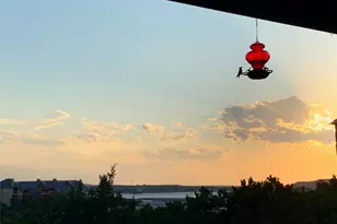 1633 Scenic Dr, Graford, TX 76449 - Photo 29