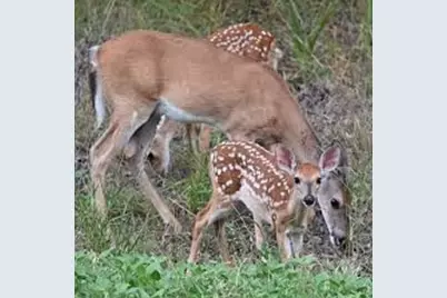 5120 Glen Rose Highway, Granbury, TX 76048 - Photo 11