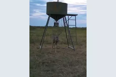 Tbd Fm 2321 Tract 2, Bellevue, TX 76228 - Photo 7