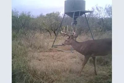 Tbd Fm 2321 Tract 2, Bellevue, TX 76228 - Photo 5