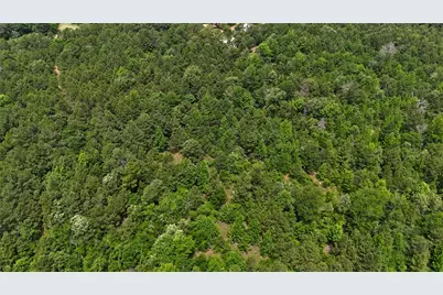 16650 Cr 3419, Brownsboro, TX 75756 - Photo 31