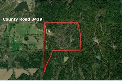 16650 Cr 3419, Brownsboro, TX 75756 - Photo 3