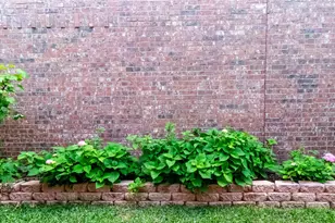 206 Grassy Creek Dr, Wylie, TX 75098 - Photo 37