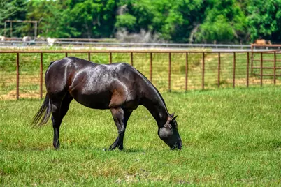 15084 US Highway 377, Whitesboro, TX 76273 - Photo 27
