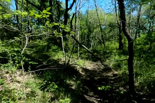 10045 Archer Rd, Princeton, TX 75407 - Photo 19