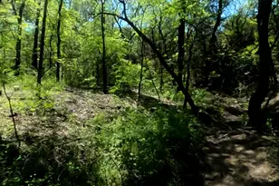 10045 Archer Rd, Princeton, TX 75407 - Photo 21