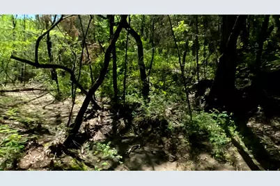 10045 Archer Road, Princeton, TX 75407 - Photo 9