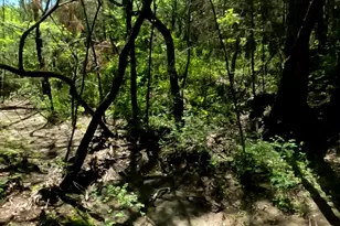 10045 Archer Rd, Princeton, TX 75407 - Photo 9