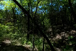 10045 Archer Rd, Princeton, TX 75407 - Photo 17