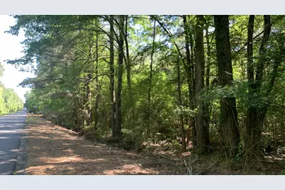 10040 Cook Road, Bethany, LA 71007 - Photo 3