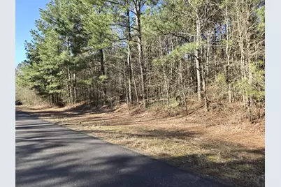 10040 Cook Road, Bethany, LA 71007 - Photo 5