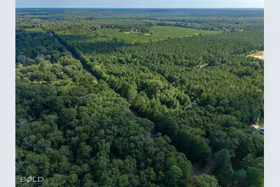 10040 Cook Road, Bethany, LA 71007 - Photo 7