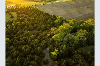 934 Everheart Road, Bells, TX 75414 - Photo 17