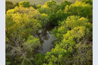 934 Everheart Road, Bells, TX 75414 - Photo 5