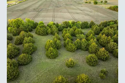 934 Everheart Road, Bells, TX 75414 - Photo 29