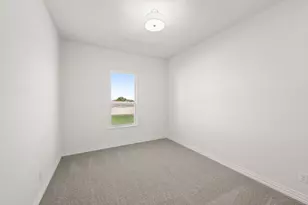 128 Fan Ml Trl, Weatherford, TX 76085 - Photo 7