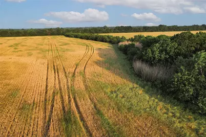 Tdb Fm-137, Roxton, TX 75477 - Photo 17