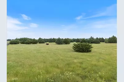 Tbd Cr-2706, Caddo Mills, TX 75135 - Photo 7