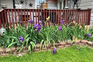 401 S Ave H, Olney, TX 76374 - Photo 3