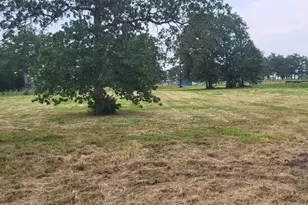 Tbd Cr 1730, Yantis, TX 75497 - Photo 1