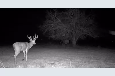1634 Business 78, Farmersville, TX 75442 - Photo 21