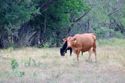 1965 Fm-933, Aquilla, TX 76622 - Photo 13